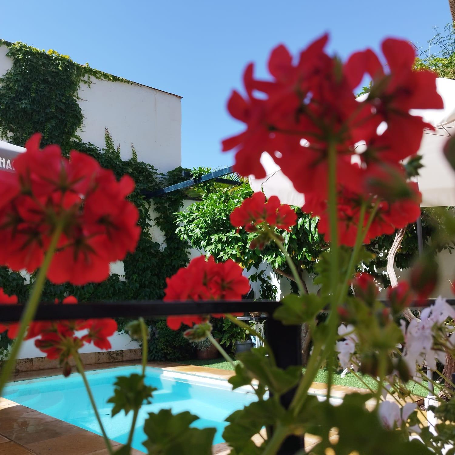 Suite Comares Гранада Екстер'єр фото